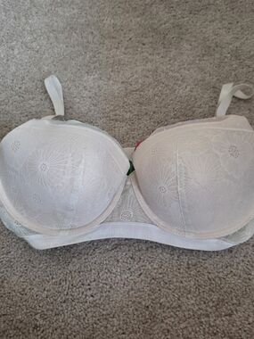 Aerie Bra Size 36 D Floral Lace Polka Dot Underwire Pale Pink White